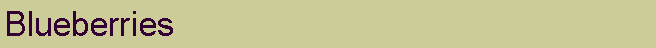 Text Box: Blueberries