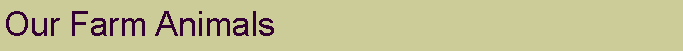 Text Box: Our Farm Animals