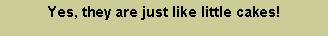 Text Box: Yes, they are just like little cakes!